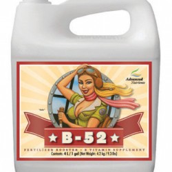 B-52-Fertilizer-Booster-2-1-4-10L