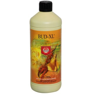 Bud-XL-House-and-Garden-1l