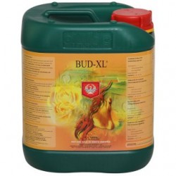 Bud-XL-House-and-Garden-20L