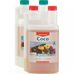 Canna-Coco-1