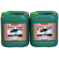 Canna-Cogr-Vega