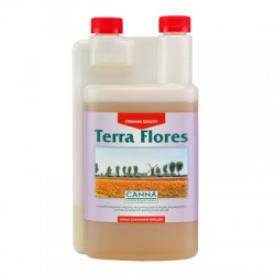 Canna_Terra_Flores_1