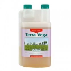 Canna_Terra_Vega_1