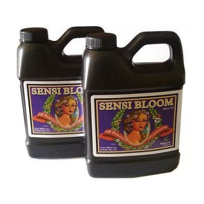 SENSI-BLOOM-part-A-B