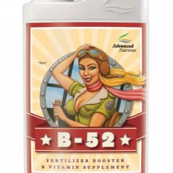 b52 1l