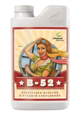 b52 1l