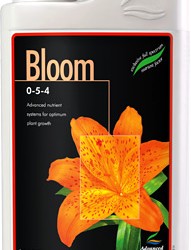 bloom