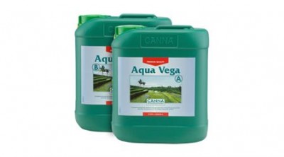 canna-aqua-vega nagy