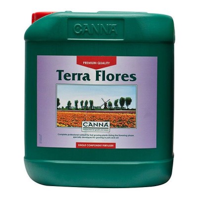 canna-terra-flores nagy