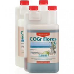 cogr-flores_1